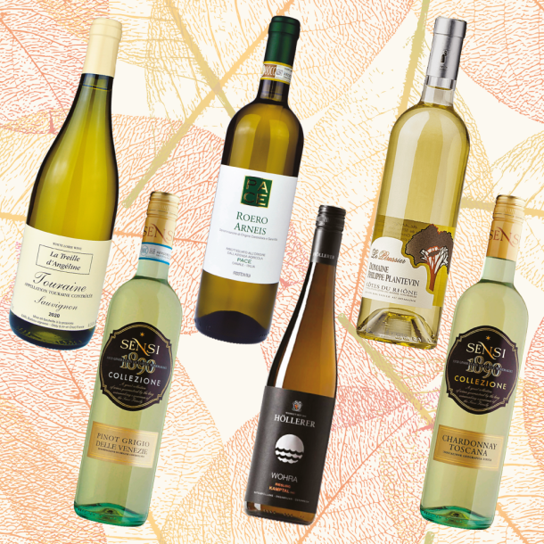 Hvidvins-smagekassen